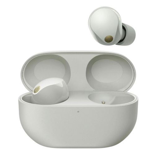 Sony WF-1000XM5 Wireless Noise Cancelling Headphones - Silver