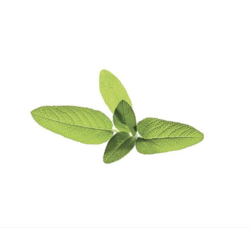 Click and Grow Smart Garden Refill 3-pack -Garden Sage*